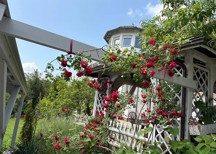 Apartament Let Me In